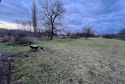 Casă cu 2 camere în Șomcuta Mare - 5