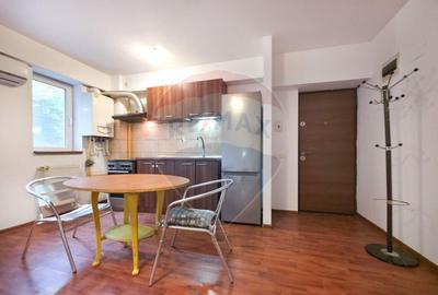 Apartament cu 2 camere de inchiriat, Demisol inalt, ... - 3