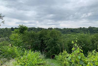 Casă cu 2 camere în Vârvor - 2