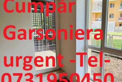 Podu Ros 1000 m distanta de Palas Mall - garsoniera mobilata si utilat - 9