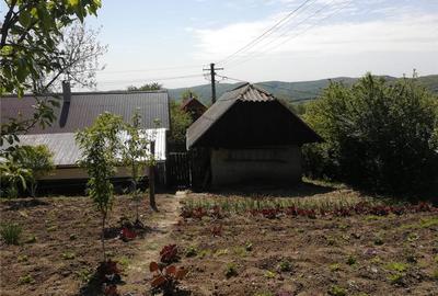 Casă în Rafaila - 3