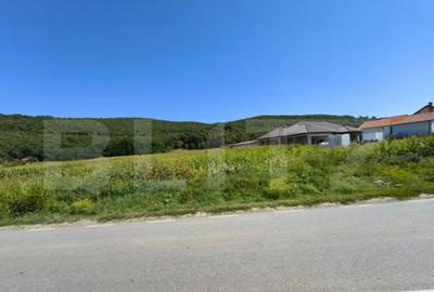 Teren de 4900 mp, în Central - 3