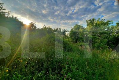 Teren intravilan 1628mp,cu panorama deosebita,in Feleacu - 7