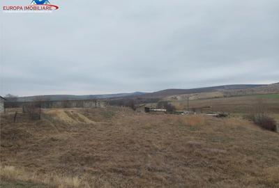 Teren intravilan de zona C.A.P. Tulcea - 4