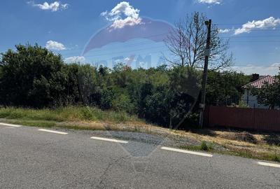 Teren de 2500 mp, în Picăturile - 4