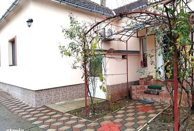 Casă cu 6 camere cu Teren 2880 Mp în Șagu - 14
