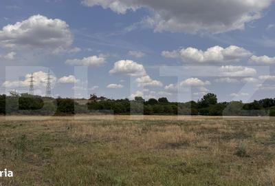 Teren de 29600 mp, în Șimnicu de Sus - 10