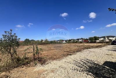 Teren ideal pentru casa de vis in Mogosoaia - 849,3 mp, cu utilitati - 12