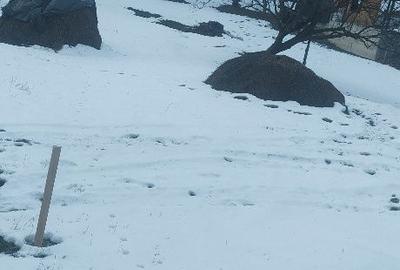 Spațiu comercial, în Ghioșești - 8