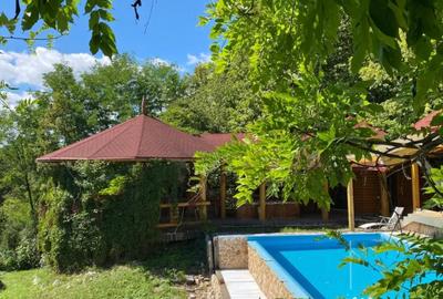 Casă cu 7 camere cu Teren 17000 Mp în Cărbunari - 5