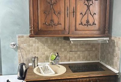 Garsoniera ultracentral - 6