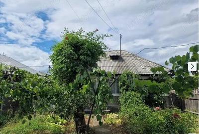 Casa cu teren orasul Roznov judetul Neamt 1550 mp - 2