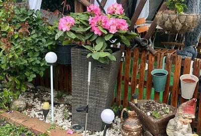 Casa in localitatea Sanovita - 4