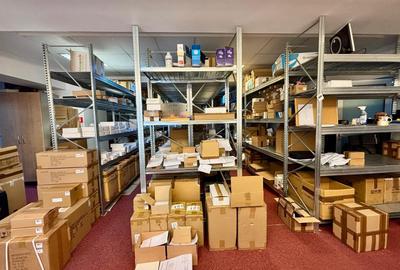 Vila  de inchiriat 11 camere  D+P+2 Timpuri noi 12 locuri de parcare 500 mp util - 29