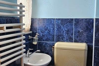 Apartament cu 3 camere semidecomandat în Iosefin - 6