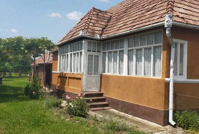 Vand casa Ru?ii Munti - 3