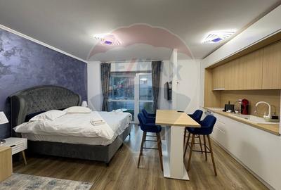 Studio luminos,55 mp, 2022 + parcare, Sinaia, introdus regim hotelier - 12