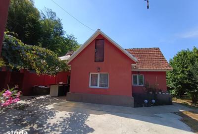 Casă cu 4 camere cu Teren 705 Mp în Copăcel - 14