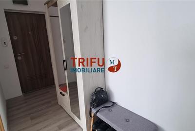 Apartament 3 camere mobilat si utilat zona Alba Micesti - 9