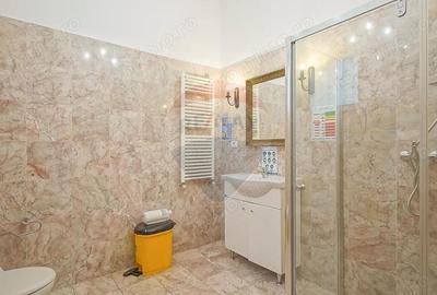 COMISION 0% - Spatiu Comercial de inchiriat - Bulevardul 15 Noiembrie - 7