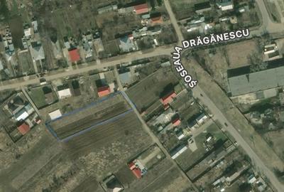 Teren de 2480 mp, în Drăgănescu - 1