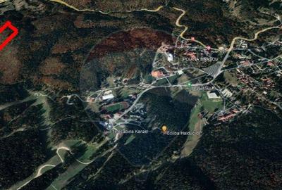 Teren de 56000 mp, în Central - 9