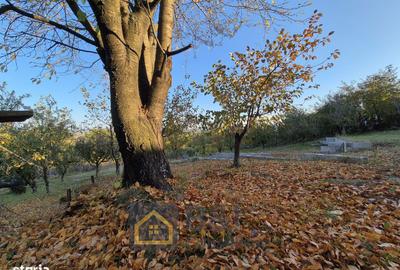 Casă cu 4 camere cu Teren 1500 Mp în Ciurea