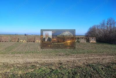 Teren de 5000 mp, în Tecuci - 2