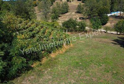 Teren de 3565 mp, în Tutana - 7