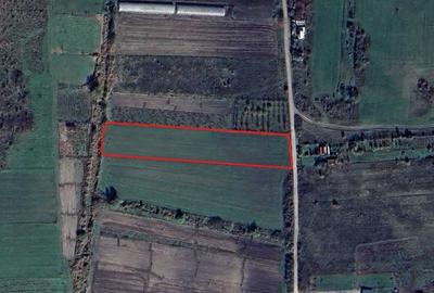 Teren de 5515 mp, în Dezmir - 5