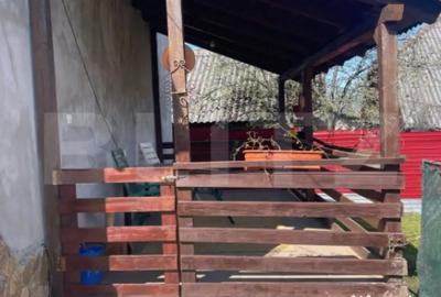 Casă cu 3 camere cu Teren 3000 Mp în Central - 2