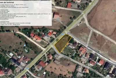 Spațiu comercial, în Satu Nou de Jos - 2