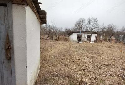 Proprietar- Ideala ptr. locuit, azil, clinica etc. - 3