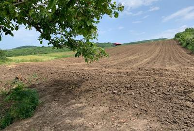 Teren intravilan | 5100 mp | zona Gusterita - 2