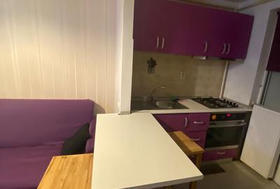 Apartament cu 2 camere, PET FRIENDLY, zona Podu Ros - 6