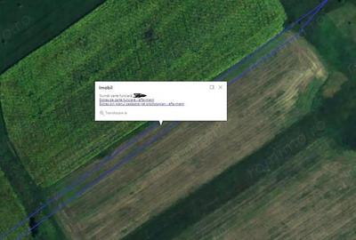 Teren extravilan arabil Ardeoani, ID: R1983077 - 2