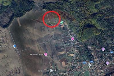 Teren de vanzare in Salicea, 3000 MP - 3