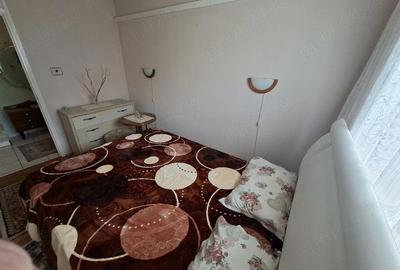 Apartament cu 3 camere decomandat în Vest - 7