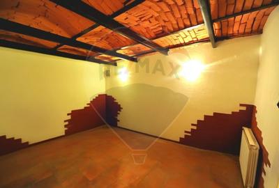 Casa 15 camere de vanzare zona Universitate + spatiu comercial parter - 43