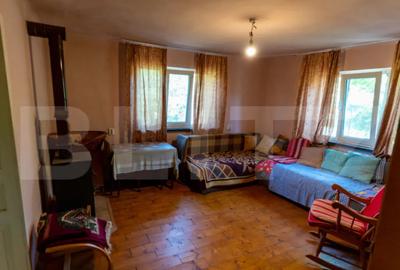 Casă cu 3 camere cu Teren 4000 Mp în Rovina (Brănișca) - 3