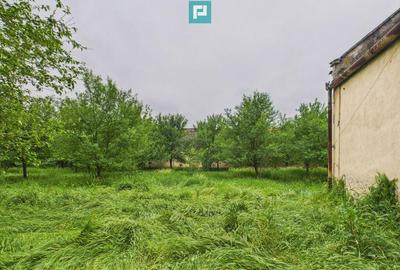 Casa de reabilitat pe teren generos- Comuna Varia? - 6