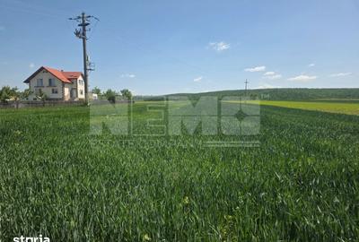Teren de 2600 mp, în Mitocu Dragomirnei - 3