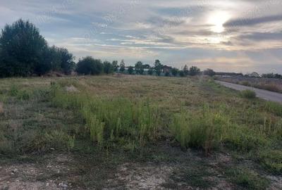 Vanzare teren intravilan, comuna Gura Sutii - Dambovita - 4