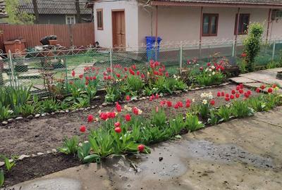 Casă cu 5 camere în Grivița - 2