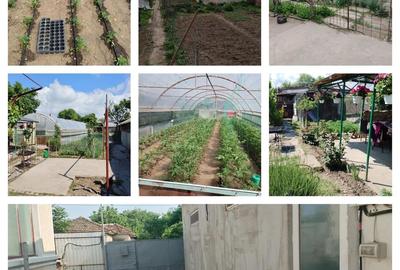 Casă cu 6 camere cu Teren 1100 Mp în Turnu Măgurele - 2