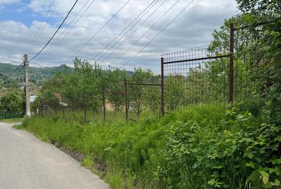 Teren Construcții intravilan de 4200 mp, în Ocina de Sus - 1