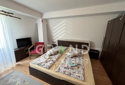 Garsonieră semidecomandată, mobilată în Mănăștur - 2