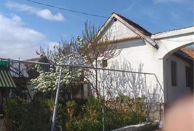 Casă cu 6 camere cu Teren 9000 Mp în Orăștioara de Jos - 5