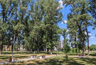 Apartament cu 2 camere în Central - 3