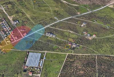 Teren intravilan 1000 mp, zona Giuseppe Verdi